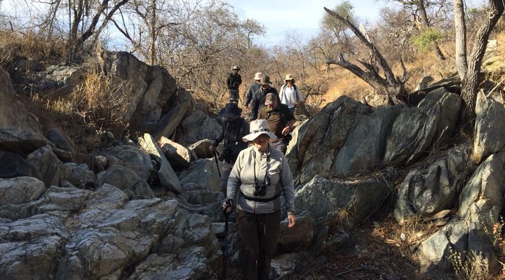 Tsakane Safari Camp