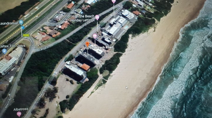 Albatros On The Beach