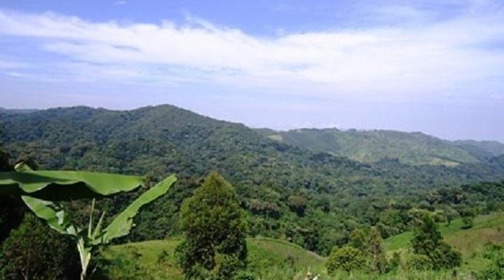 Ecomarvels Gorilla Resort