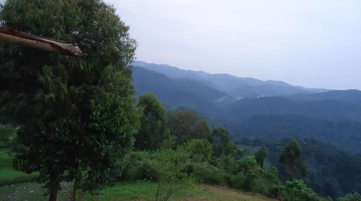 Ecomarvels Gorilla Resort