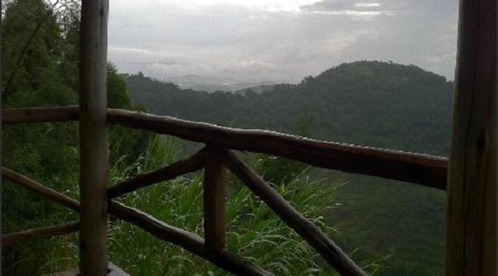 Ruhija Gorilla Friends Lodge and Campsite