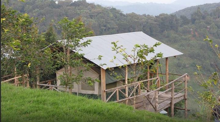Ruhija Gorilla Friends Lodge and Campsite