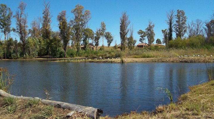 Bernally's Fishing Lodge