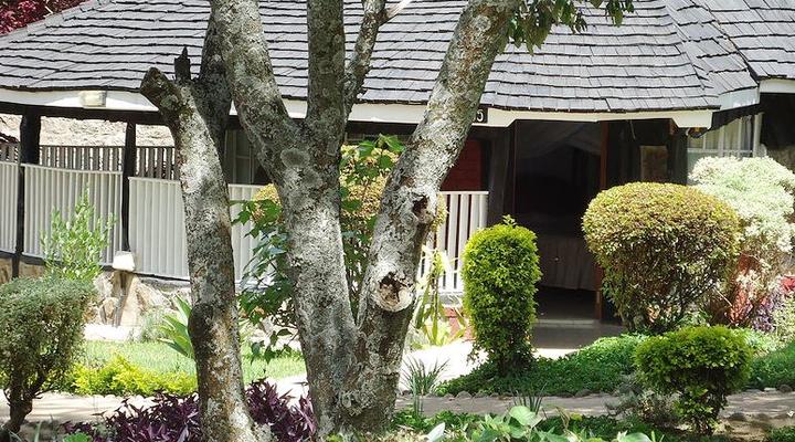 Mt. Kenya Lion's Court Lodge and Suites