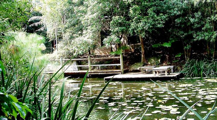 Mt. Kenya Lion's Court Lodge and Suites