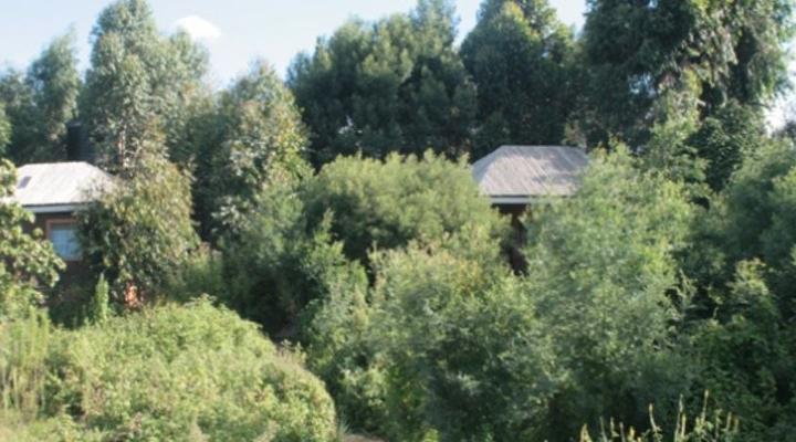 Trekker's Tavern Cottages