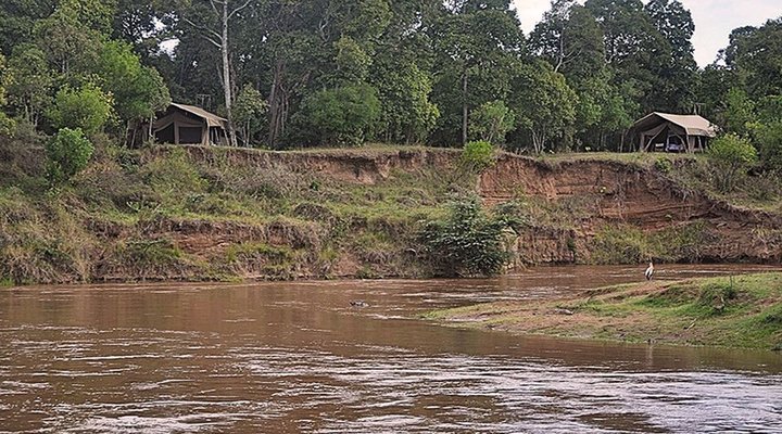 Sentinel Mara Camp 