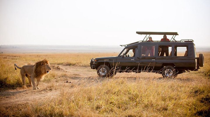 Sentinel Mara Camp 