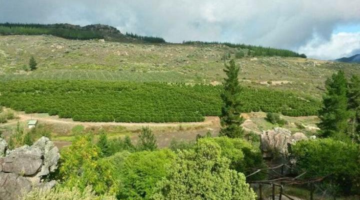 The House in Lalaland