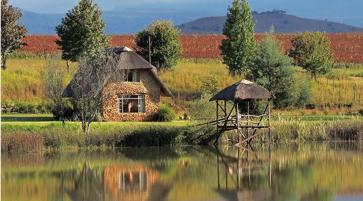Shiriba Farm