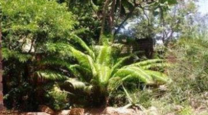 Accomodation @ Chicken Shack Lodge