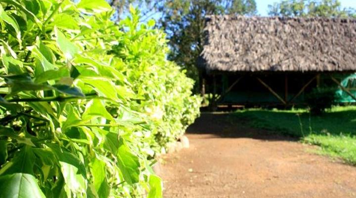 Laikipia Safari Camp