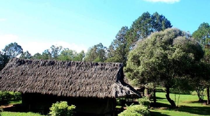 Laikipia Safari Camp