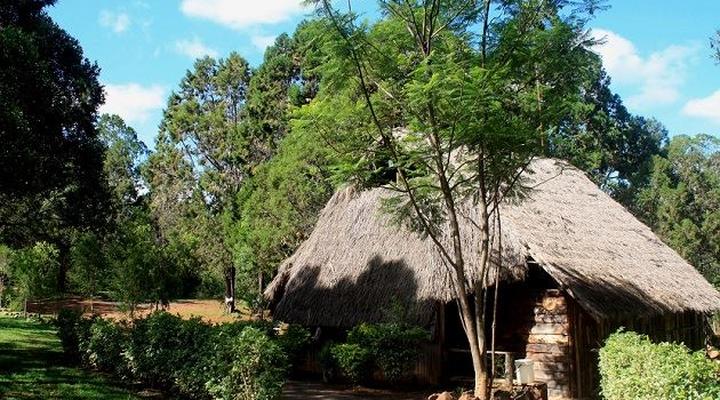 Laikipia Safari Camp