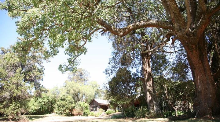 Lolldaiga Farm House