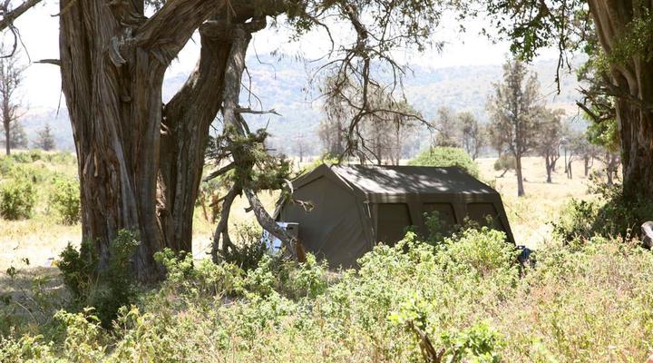 Lolldaiga Farm House