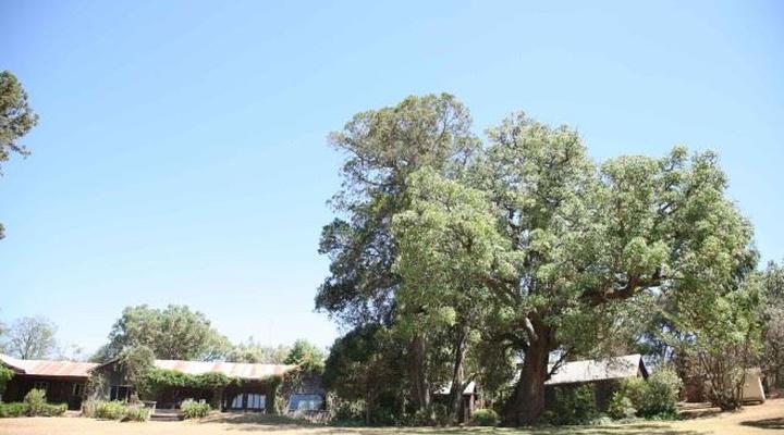 Lolldaiga Farm House