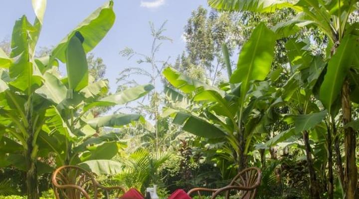 Ufanisi Resort Kisii