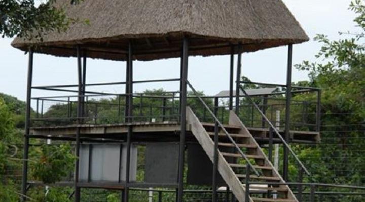 Ngamba Island Tented Camp