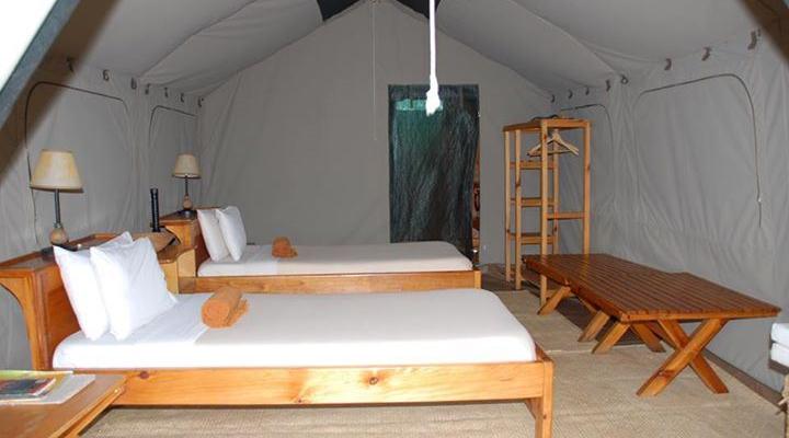 Ngamba Island Tented Camp