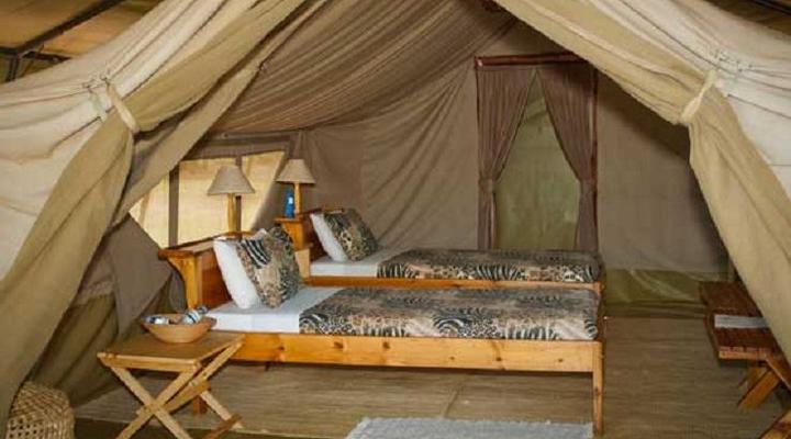 Ngamba Island Tented Camp