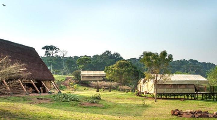 Ngamba Island Tented Camp