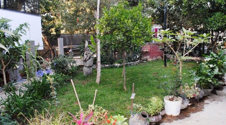 Debre Amo Guest House