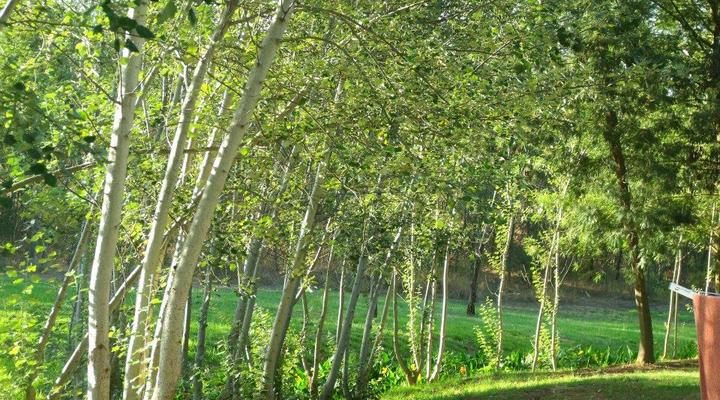 Khomeesdrif Camping Site