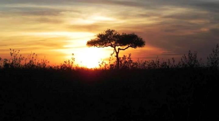 Mama Safi Guest Houses