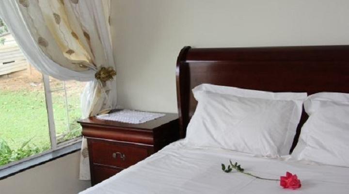 The House of Noah Guest House