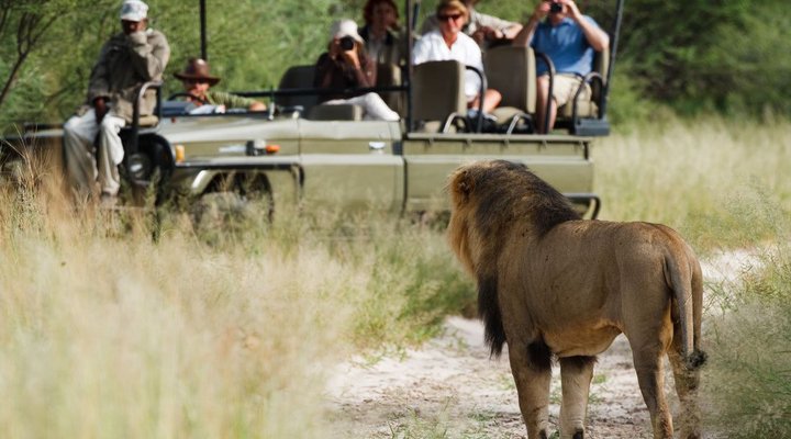 Deception Valley Lodge