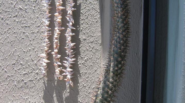 Apartment 809 @ 4 Seasons