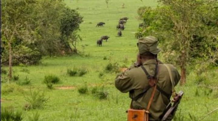 Arcadia Cottages Lake Mburo