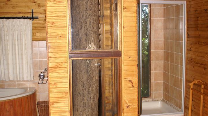 Treks, Trips & Trails