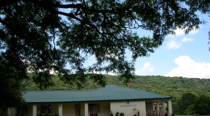 Black Forest Mountain Lodge