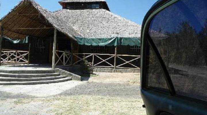 Cactus Eco Camp and Lodge