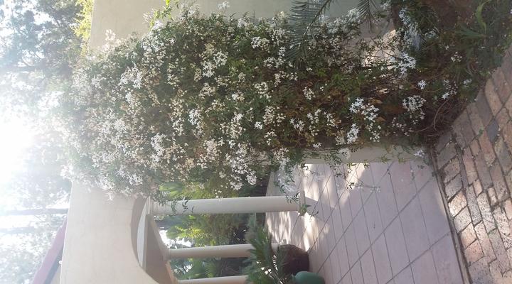 Malachite Guest House