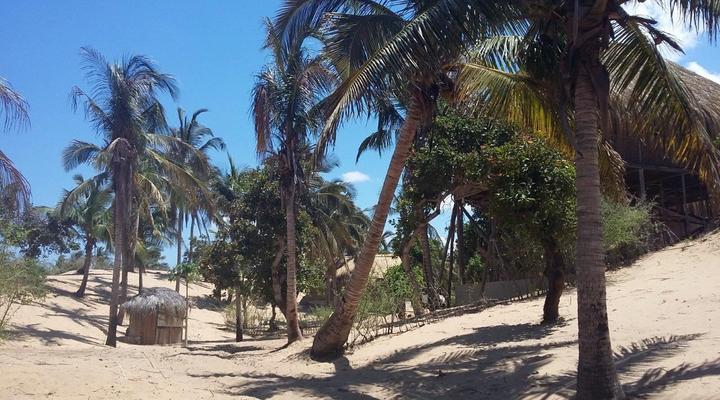 Nao Faz Mal - The Bungalow