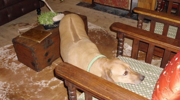 Hartebeesfontein Farm House