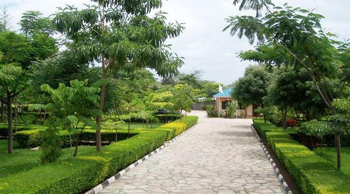 Fanaka Safari Campsite and Lodges