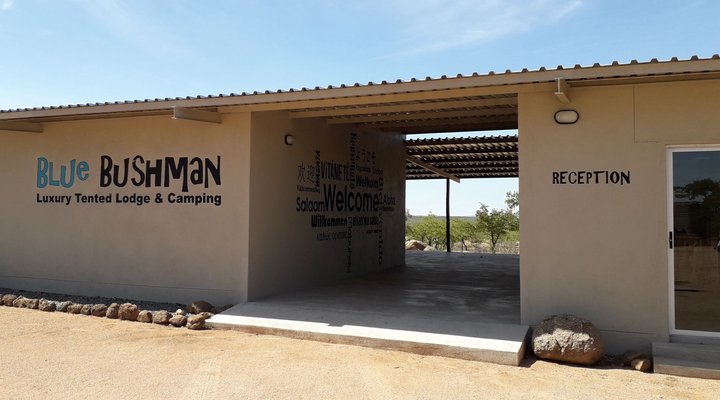 Blue Bushman Luxury Tented Lodge & Camping
