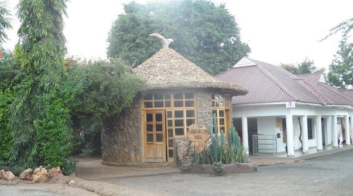 Ango Tree Hotel
