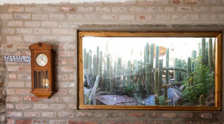 Desert Wind Adventure Game Farm