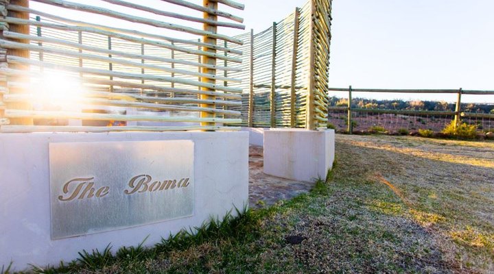 Desert Wind Adventure Game Farm