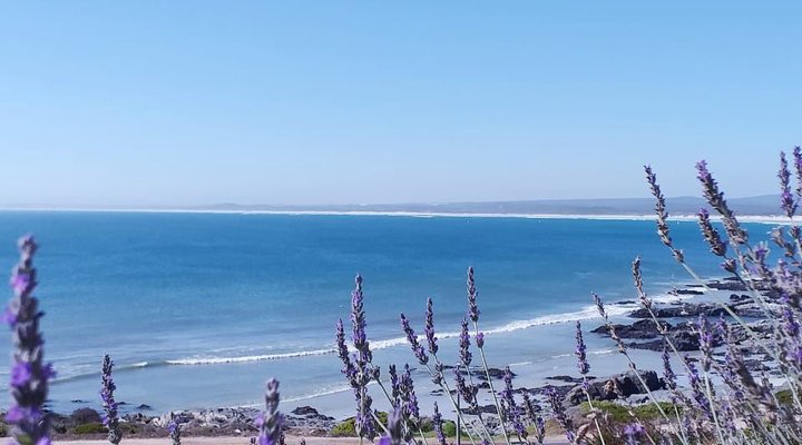 Rykies Retreat Self Catering