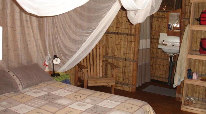 Nao Faz Mal - The Nut Hut