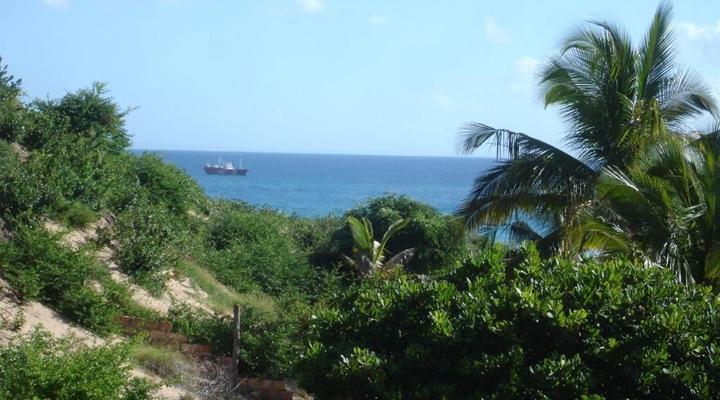 Nao Faz Mal - The Nut Hut