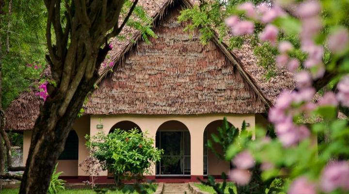 Coral Beach Cottages