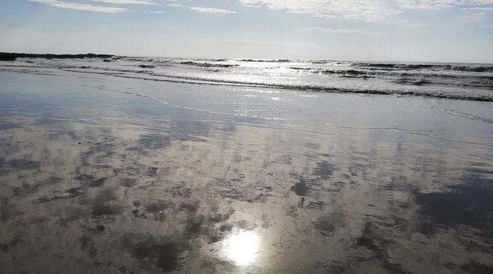 Fern Cottage Kei Mouth