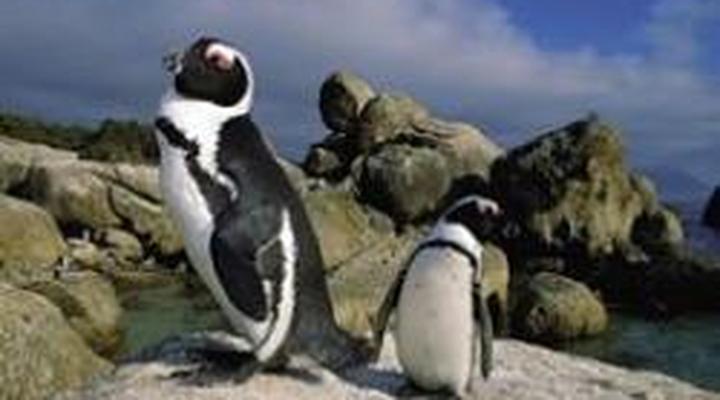 Seaforth Beach Apartment